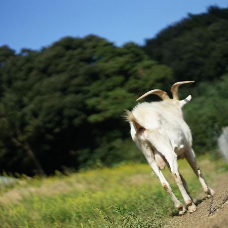 舞鶴ふるるファームコテージ 마이즈루 외부 사진